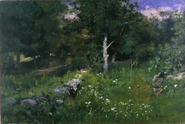 Summer Foliage