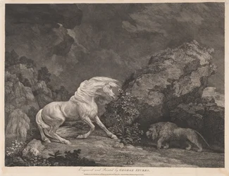 A Horse Affrighted by a Lion
