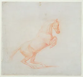 A Prancing Horse, Facing Right