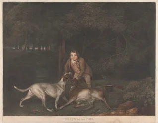 Death of the Doe