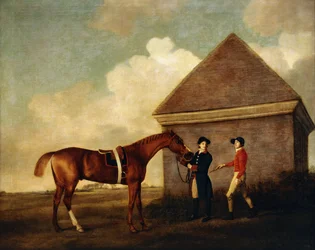 "Eclipse", a Dark Chestnut Racehorse held by a Groom, with a Jockey, Possibly Jack Oakley, by the Rubbing Down House at Newmarket, 1770