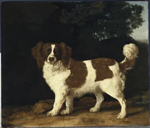 Fanny, the Favourite Spaniel of Mrs. Musters, Standing in a Wooded Landscape