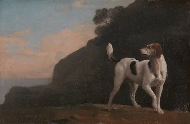 Foxhound, ca. 1760