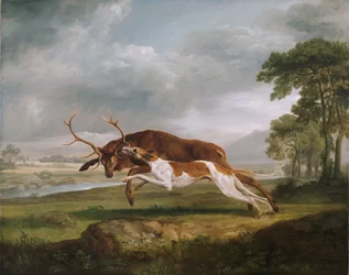 Hound Coursing a Stag