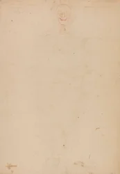 Human Skeleton, Anterior View