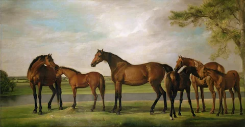 Mares and Foals Disturbed by an Approaching Storm