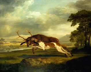 Unknown Image