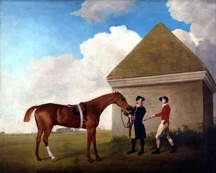 Unknown Image