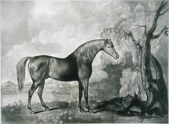 Brown Horse Mask, after George Stubbs