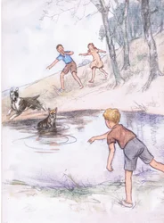 In the pond, from Pets Limited published by Collins