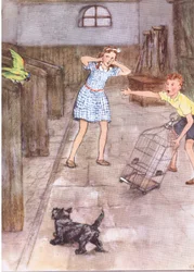 The parrot began to say rude things, from Pets Limited published by Collins