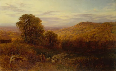 Sunlight Lingering on the Autumn Woods