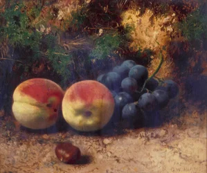 Peaches and Grapes