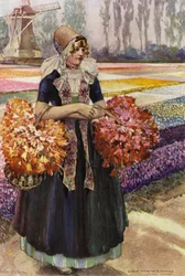 A Tulip Field