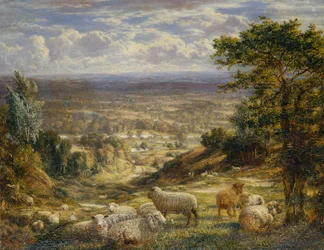 A Summer Landscape with Sheep