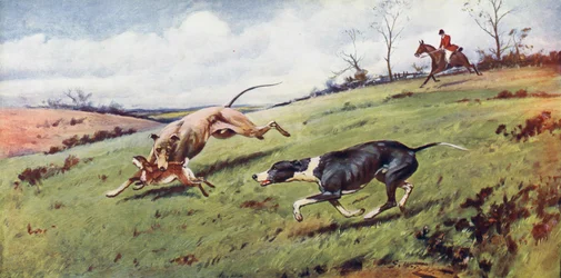 Coursing