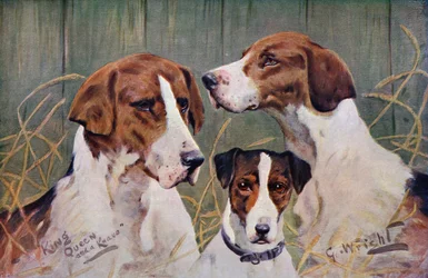 King, Queen and Knave