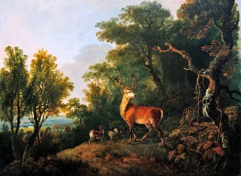 A stag and three hind in a wooded landscape