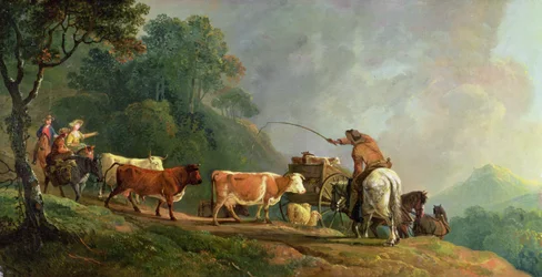 Going to Market
