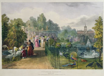 The Aviary at the Zoological Gardens, Regent