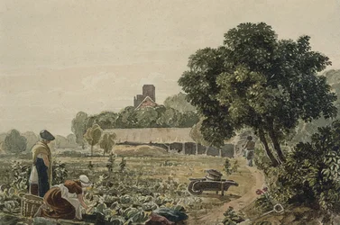 Market Garden at Chelsea