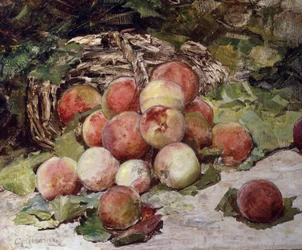 Peaches