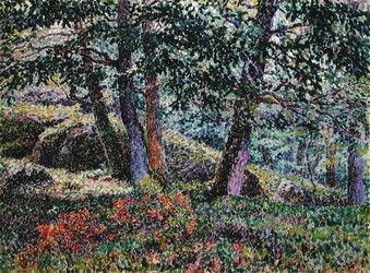 Oaks and Blueberry Bushes