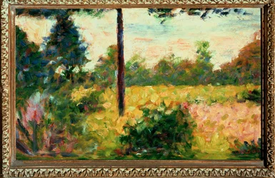 Wood in Barbizon