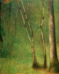 Forest in Pontaubert