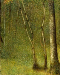 The Forest at Pontaubert