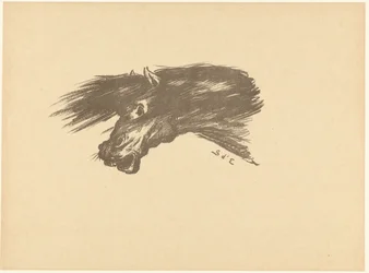 Head of a Horse Etude L
