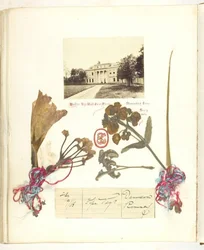 Untitled [View of Broadlands with Dried Flowers]