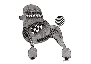 Poodle, 2015