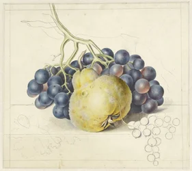 Still Life with Grapes and a Pear