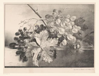 Still Life with Grapes and Chestnuts