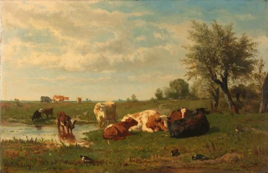 Cows in the Meadow