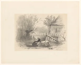 Two Goats and a Sheep by a Fence in Front of a House
