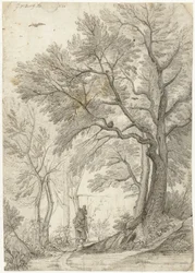 Forest of the Villa Madama outside Rome