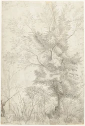 Forest of the Villa Madama Outside Rome, with a Hunter Shooting