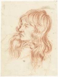 Head of a Young Man Facing Left