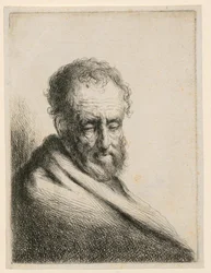 Old Man with a Beard