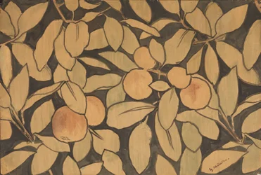 Apples Against a Black Background