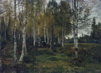 Birch Forest in the Autumn