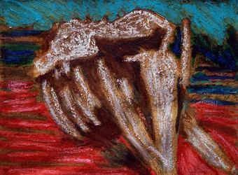 Whale Skeleton