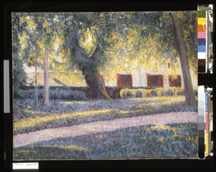 Sunshine Under The Trees