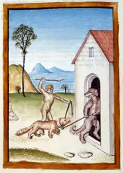 A Dog and a Monkey Tyranning a Weasel. Animals Depicted in Male Posture. Miniature Taken from a German Translation of the Fables of 