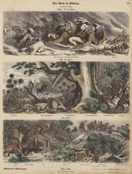 Africa: A Caravan Caught in a Sandstorm in the Sahara; the Coast of Guinea; South Africa