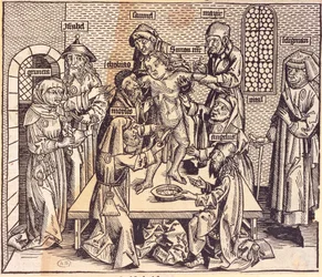 Anatomy Lesson (engraving)