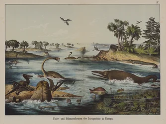 Animals and Plants of the Jurassic Period in Europe