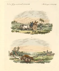Antelopes Hunting with Leopards